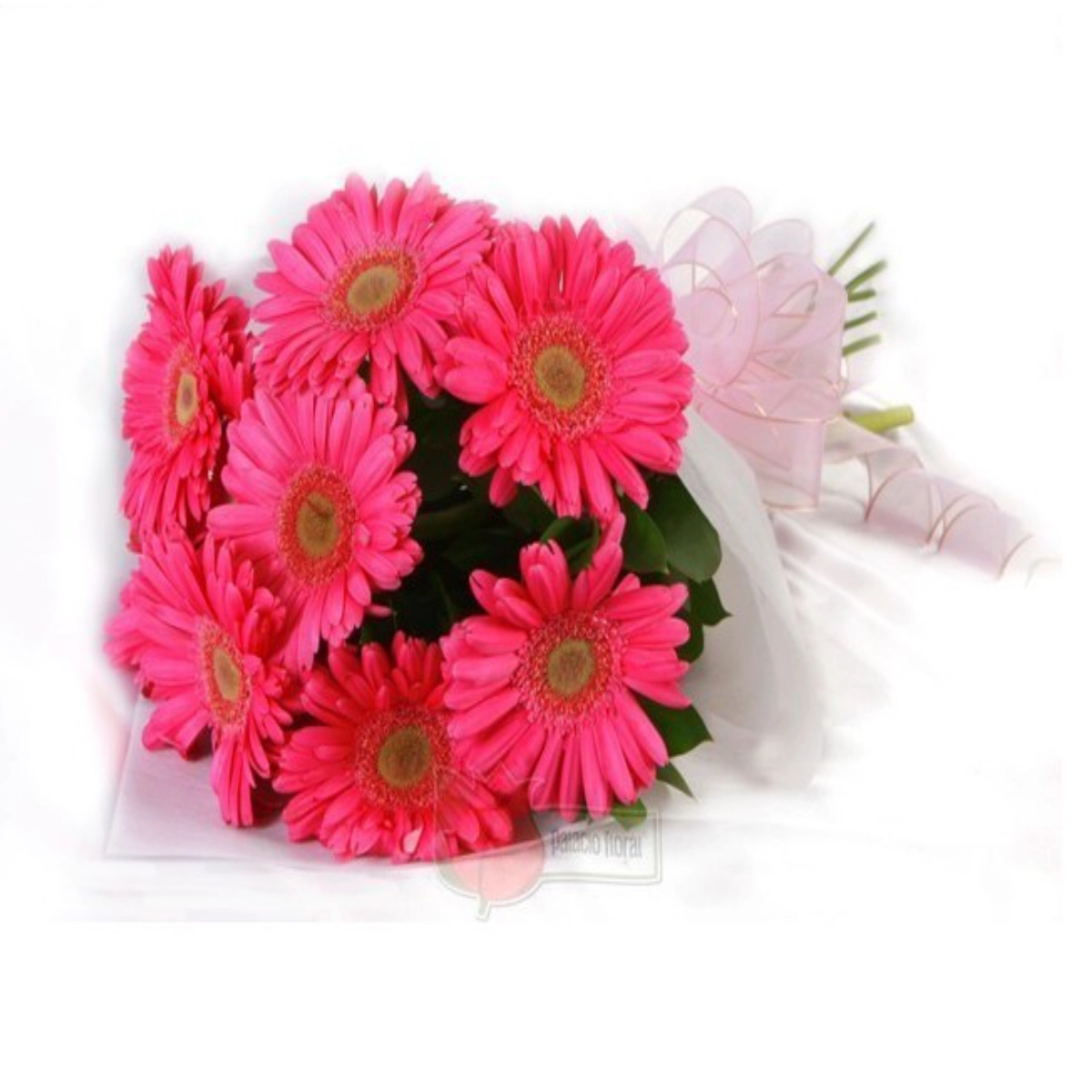 DIONE - Arreglo floral N° 018, envío a General Escobedo, Nuevo León